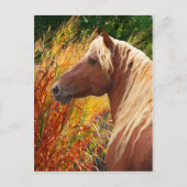 「山火事」はがき ポストカード (正面)