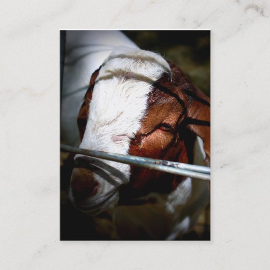 山牧場名刺 名刺 (正面)