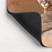 山獅子2頭 マウスパッド (コーナー)