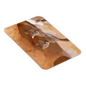 山獅子2頭 マグネット (右側)