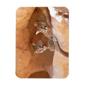 山獅子2頭 マグネット (縦)