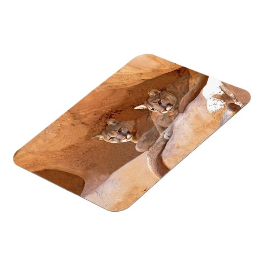 山獅子2頭 マグネット (左側)