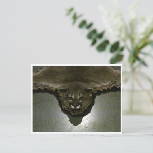 山獅子 ポストカード (スタンド正面)