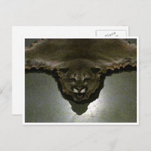 山獅子 ポストカード (正面/裏面)