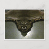 山獅子 ポストカード (正面)