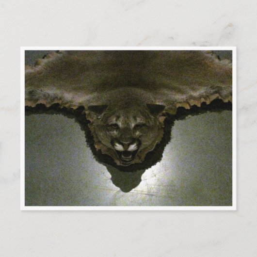 山獅子 ポストカード (正面)