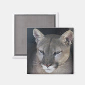 山獅子 マグネット (正面/裏面)