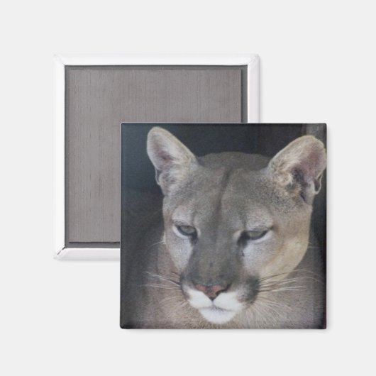 山獅子 マグネット (正面/裏面)