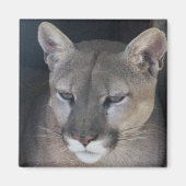 山獅子 マグネット (正面)