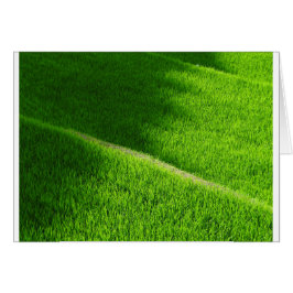 山田の棚田 日本