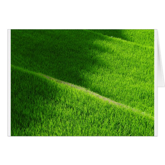 山田の棚田 日本 (正面横)