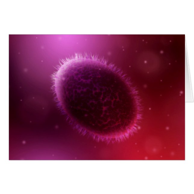 山痘の顕微鏡的見解1 (正面横)