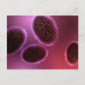 山痘の顕微鏡的見解2 ポストカード (正面)