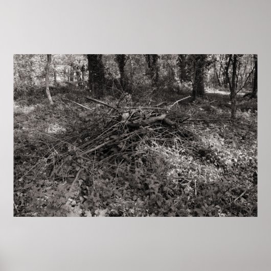 山積み棒 – 暖かい色調の黒と白 ポスター (正面)