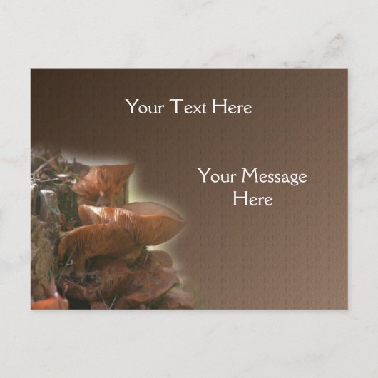 山積み野生キノコ自然 ポストカード (正面)