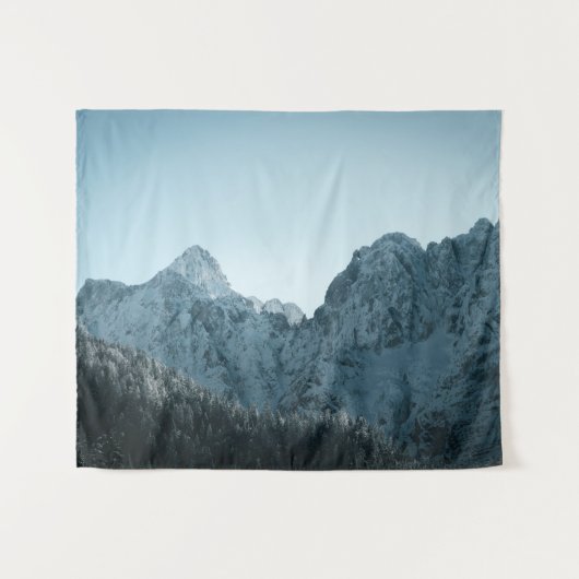 山素晴らしとトウヒ タペストリー (正面(横))