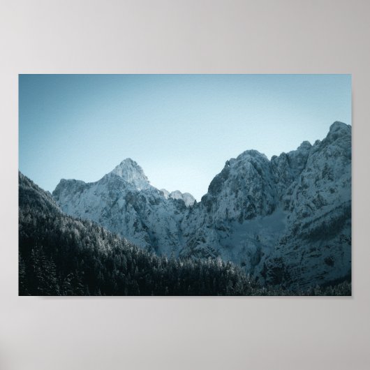 山素晴らしとトウヒ ポスター (正面)