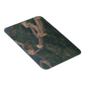 山素晴らしの中を曲がる壁。 マグネット (右側)