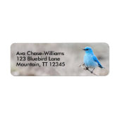 山素晴らしブルーバードソンバードオンタンジー ラベル (正面)