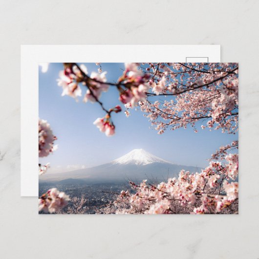 山素晴らし富士の風景と桜 シーズンポストカード (正面/裏面)