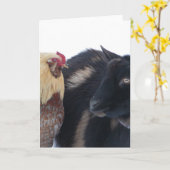 山羊と鶏が雪の中で友達 カード (黄色い花)