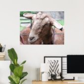 山羊を門に向かって砂浜に乗せる ポスター (ホームオフィス)