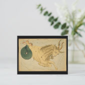 山羊座はがき ポストカード (スタンド正面)