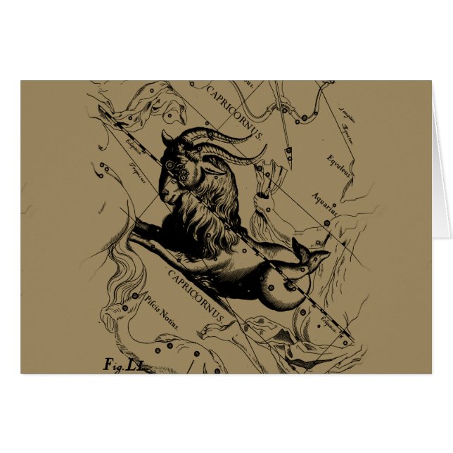 山羊座コンステレーションヴィンテージ版木、銅版、版画ヘベリアス (正面横)