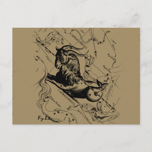 山羊座コンステレーションヴィンテージ版木、銅版、版画ヘベリアス ポストカード (正面)