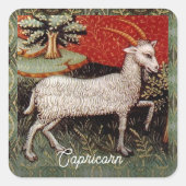 山羊座ザヤギ〔占星術の〕十二宮図サインバースデーパーティー スクエアシール (正面)