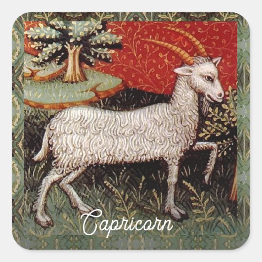 山羊座ザヤギ〔占星術の〕十二宮図サインバースデーパーティー スクエアシール (正面)