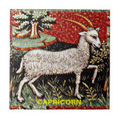 山羊座ザヤギ〔占星術の〕十二宮図サインバースデーパーティー タイル (正面)