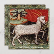 山羊座ザヤギ〔占星術の〕十二宮図サインバースデーパーティー