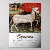 山羊座ザヤギ〔占星術の〕十二宮図サインバースデーパーティー 箔ポスター (正面)