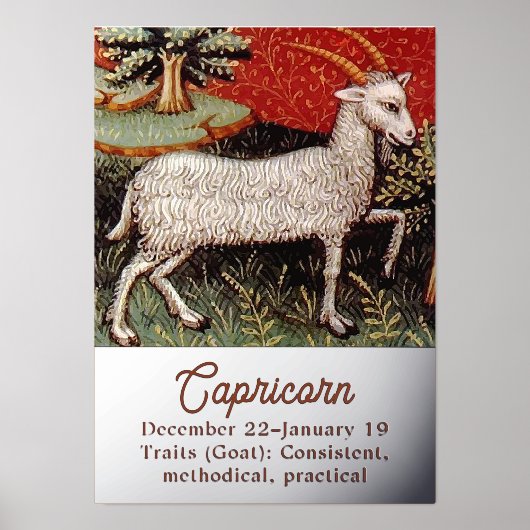 山羊座ザヤギ〔占星術の〕十二宮図サインバースデーパーティー 箔ポスター (正面)