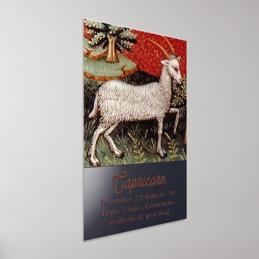 山羊座ザヤギ〔占星術の〕十二宮図サインバースデーパーティー 箔ポスター (レイダウン)