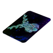 山羊座ザヤギ〔占星術の〕十二宮図磁石 マグネット (左側)