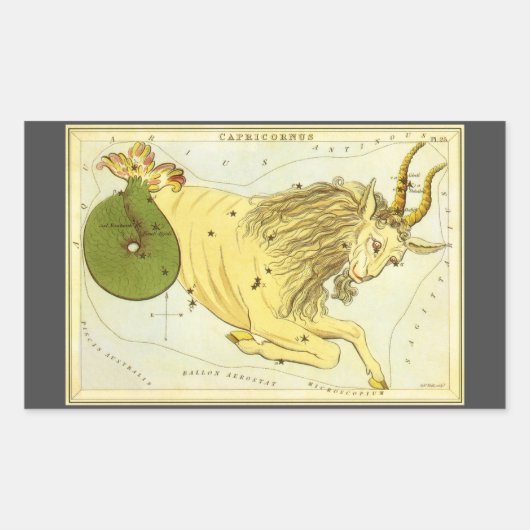 山羊座ヴィンテージコンステレーション、ウラニア鏡 長方形シール (正面)