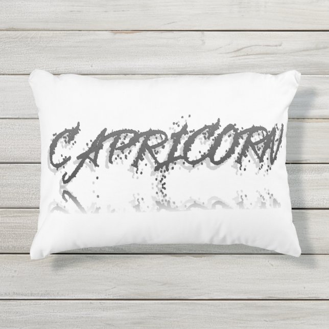 山羊座反射 アウトドアクッション (正面)