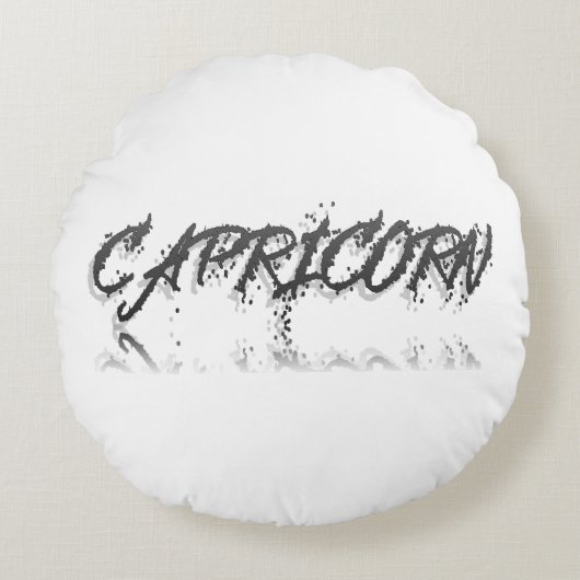 山羊座反射 ラウンドクッション (正面)