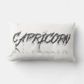 山羊座反射 ランバークッション (正面)