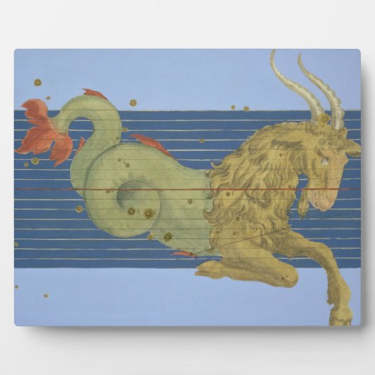 山羊座座、「ウラノメトリア」から フォトプラーク (正面)