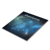 山羊座座 タイル (側面)