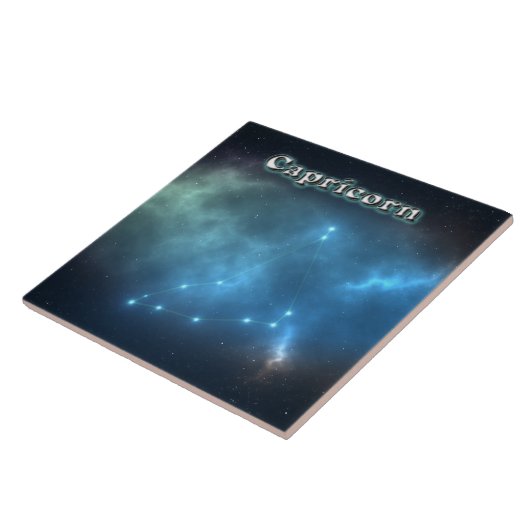 山羊座座 タイル (側面)