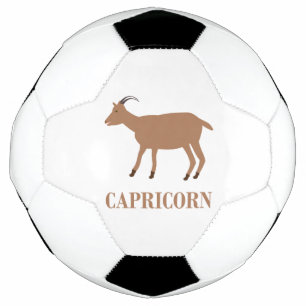 山羊座星印ヤギ サッカーボール