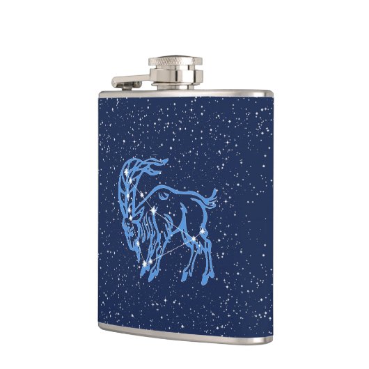 山羊座星座と星付き〔占星術の〕十二宮図サイン フラスク (左)