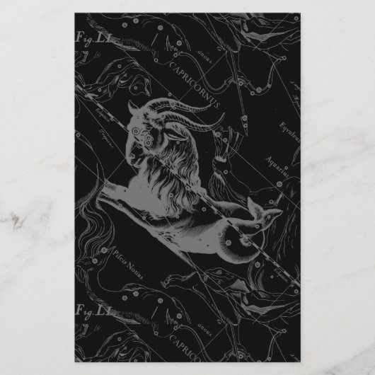 山羊座星座ヘベリアス1690オンブラック チラシ (正面)