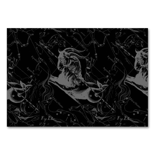 山羊座星座ヘベリアス1690オンブラック テーブルナンバー (正面)