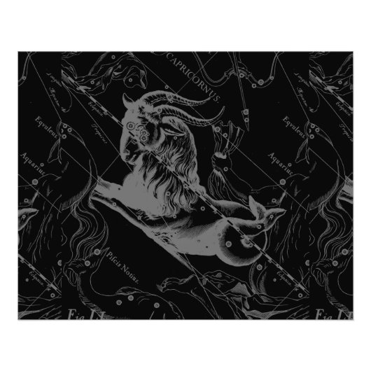 山羊座星座ヘベリアス1690オンブラック フォトプリント            (正面)