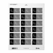 山羊座星座ヘベリアス1690オンブラック ラベル (フルシート)